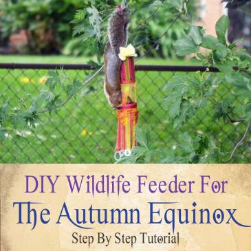 DIY Nature Offering - Wildlife Feeder For The Autumn Equinox