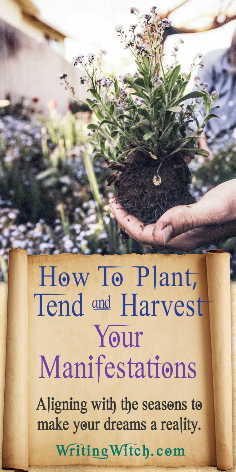 The Plant-Tend-Harvest-Compost Cycle Of Manifestation