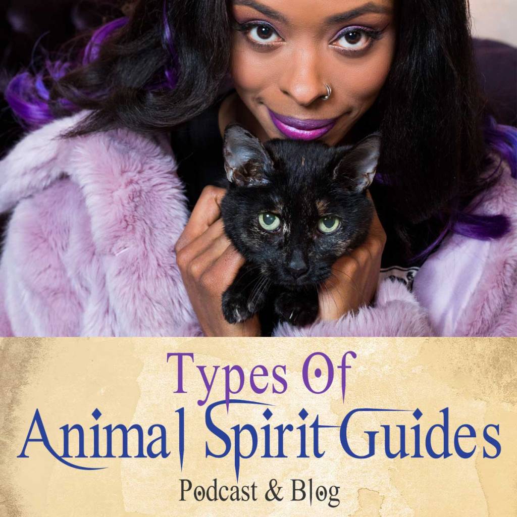 Types Of Animal Spirit Guides