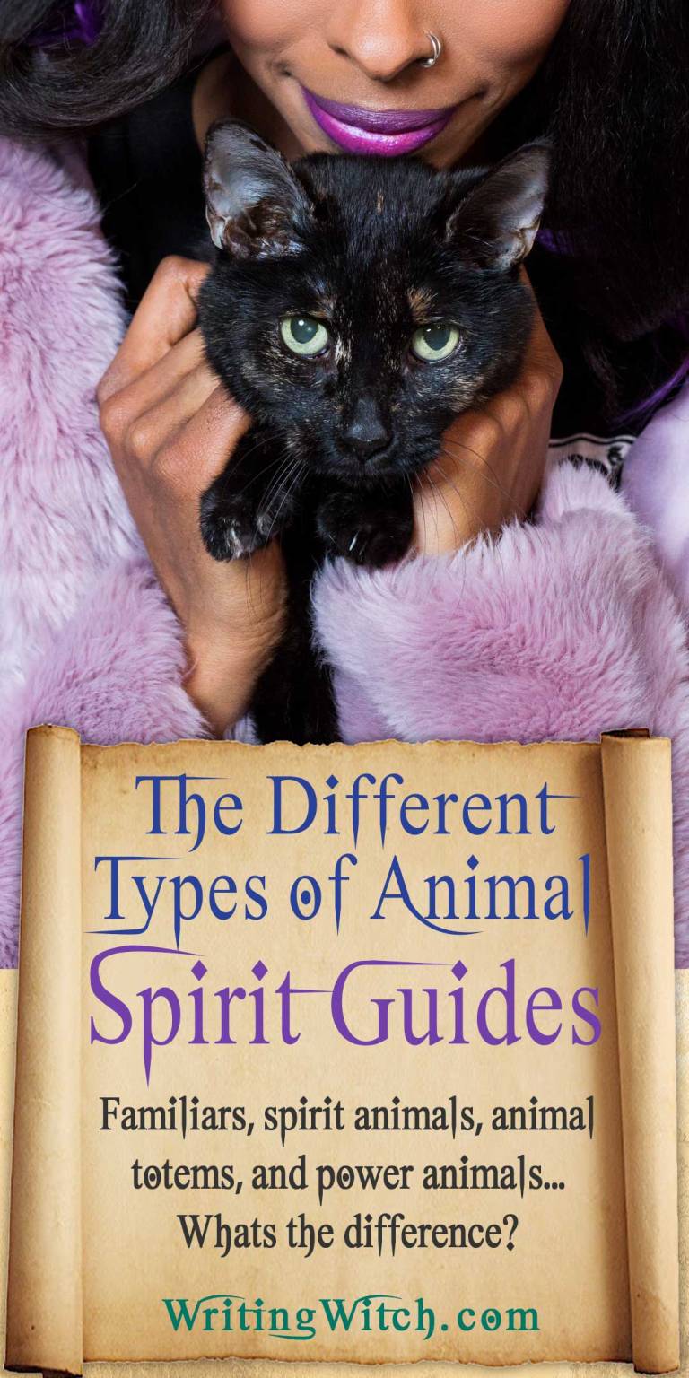 Types Of Animal Spirit Guides