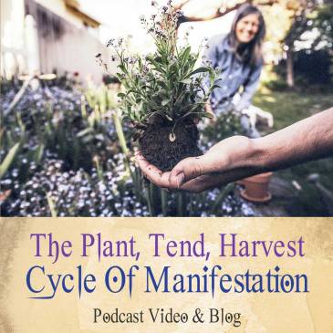 The Plant-Tend-Harvest-Compost Cycle Of Manifestation