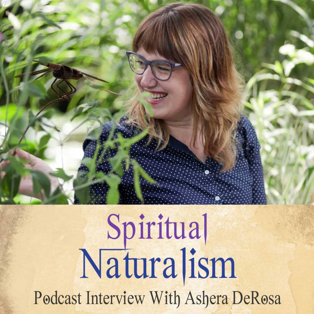 Spiritual Naturalism And Cyclical Living Tips (Podcast With Ashera DeRosa)