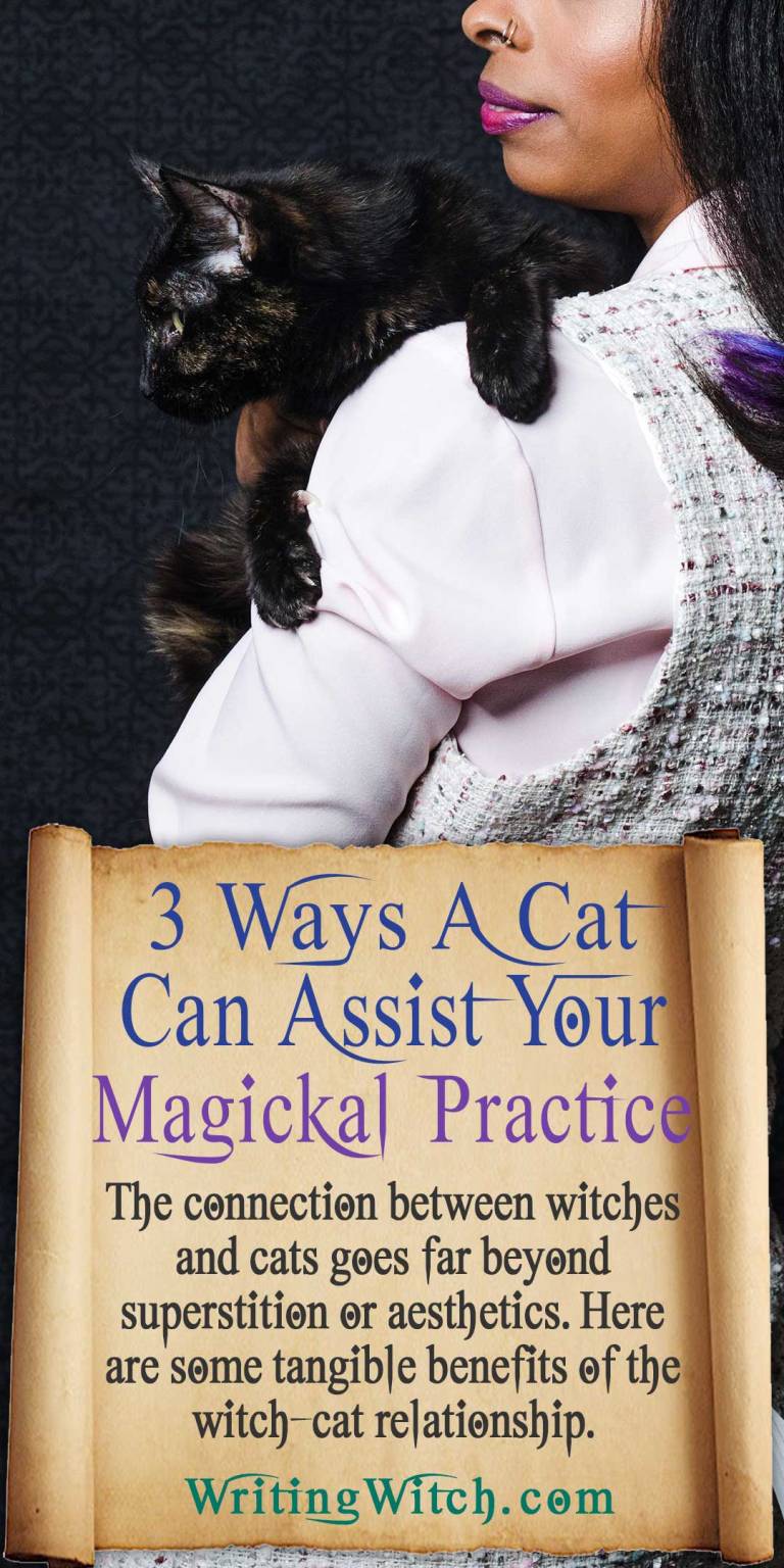 3 Ways A Cat Can Assist In Your Magickal Practice