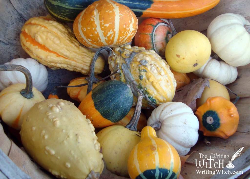 squashes pumpkins and gourds for fall