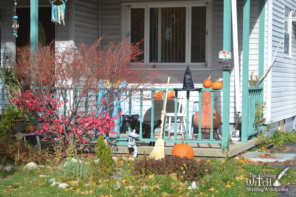 autumn house yard with pumpkins and a black cat